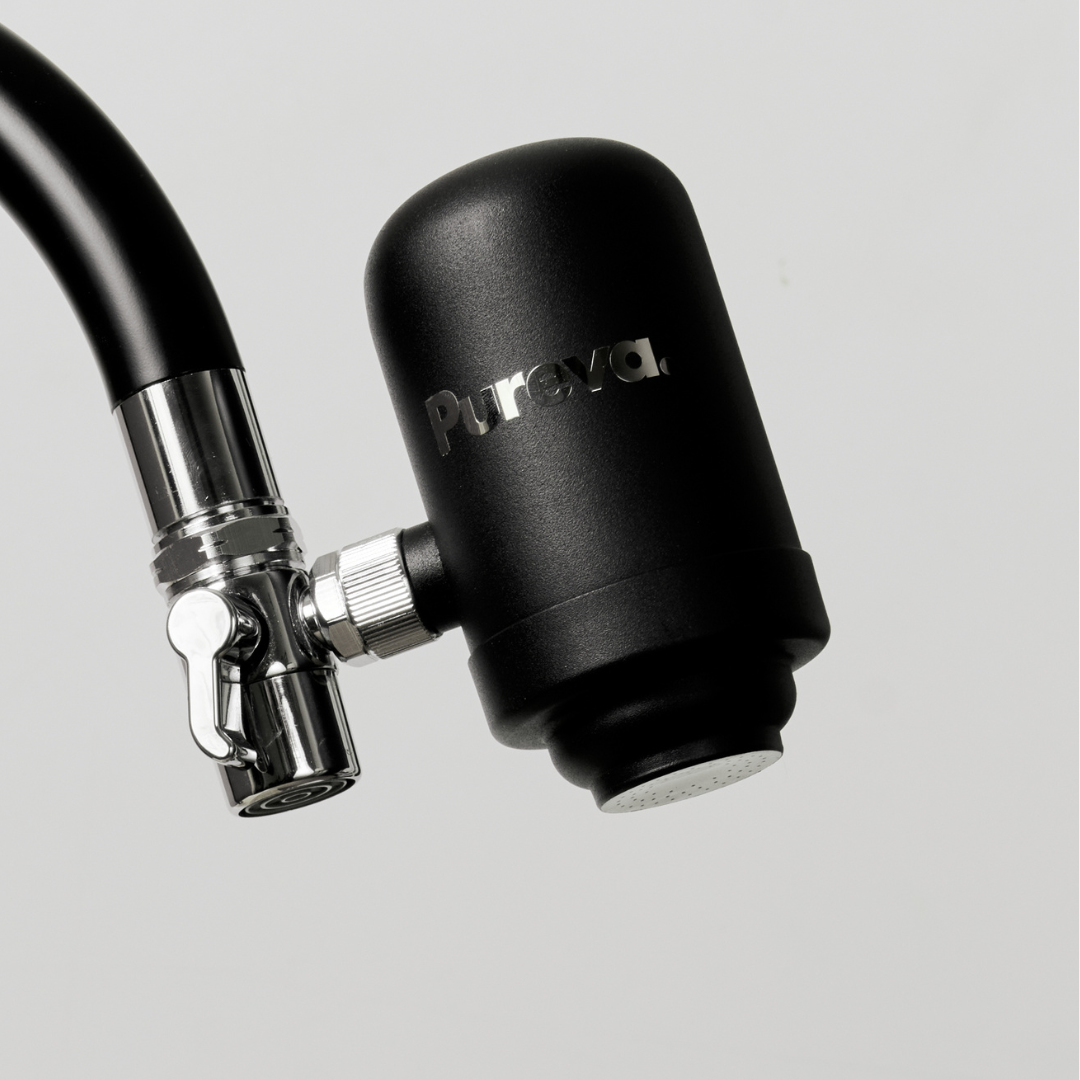 Pureva One Filter Kit (with Adapters)